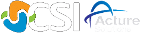 Computer Systems Integrators